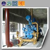 10kVA-600kVA Coal Bed Gas Coal Methane Gas Coal Gas Generator