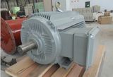 80kw 100rpm Permannent Magnet Wind Generator