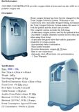 Oxygen Concentrator (BM-9901)