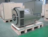 Three Phase Brushless Self-Exciting AC Alternator Jdg Series (8kVA-2500kVA)