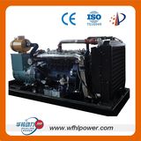 Natural Gas Generator Manufacturer