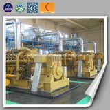 Rice Husk Straws Gas Fired Generator Biomass Gasification Power Plant