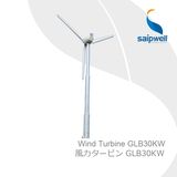 Saipwell Asynchronous Wind Power Generator Production Factory (GLB30KW)