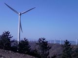 Wind Generator (200w to 50kw)