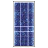 Poly Solar Panels (THP13036)