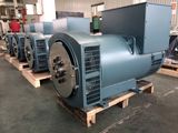 Single Bearing or Double Bearing Generator IP23 Alternator