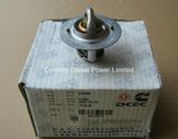 3972071 Thermostats Used for Cummins Engine