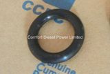 3818885 Seal O Ring for Cummins Kta38 Engine