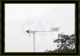 1000W Wind Turbine Generator (CAT-1KW)