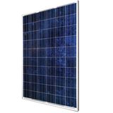 210w Poly PV Solar Panel (NES60-6-210P)