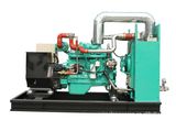 Natural Gas Generator Sets Powered by Cummins