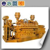 Mini Power Plant Coal Gas Generator (500kw)