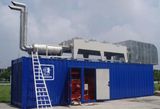 500kw1000kw10mw50mw 100mw Coal Power Plant/Biomass Power (LYBG500)