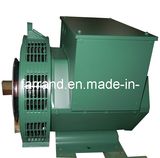 Brushless Synchronous Alternator (FLD224F)