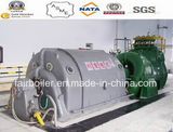 High Efficiency Steam Turbine for Power Plant