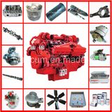 Nta855 Kta19 Kta38 Kta50 M11 L10 4bt 6bt Vta28 Cummins Parts