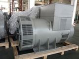 100% Copper Wire Faraday AC Alternator Generator with Pmg (FD6AS)