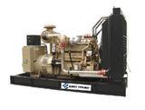 Cummins Diesel Generator Set