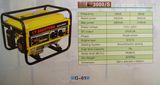 Gasoline Generator