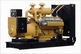 Diesel Engine Generator Set