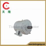 Ff-5kw/200rpm/DC240V Permanent Magnet Alternator (PMG/PMA/Hydro)