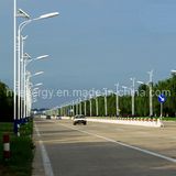 Hye New Wind Solar Hyrbrid Generator for 80W LED Street Light System