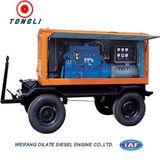 Portable Diesel Generator