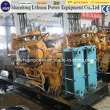 Power Engine Natural Gas (biomass gas /biogas) Gas Generator