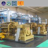 CE Palm Kernel Shell Biomass Generator for Electricity Generating Set