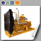 Mini Power Plant Natural Gas Generator (150KW)