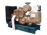 Diesel Generator