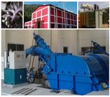 Pelton Turbine (two nozzle) /Hydro Turbine/Power Plant