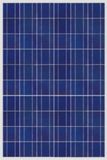 TUV/CE/Iec Certificated 220W Poly Solar Panel/Solar Module