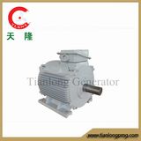 Ff-8kw/200rpm/DC240V Permanent Magnet Generator (PMG/PMA/Hydro)