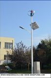 300W Vertical Wind Turbine Generator with Solar Panel for Street Light