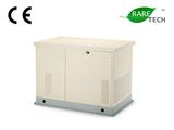 Natural Gas Generator 30kw (RTS, RTT, RTI, RTC)