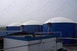 Amb Biomass Energy Plant (AMB-4)