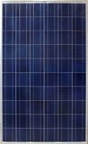 Poly-Crystalline Silicon Solar Module (SUN-60P)