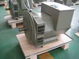 25 Kw Double Bearing Alternator