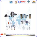 Diesel Engine Spare Parts