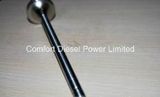 Cummins Engine Valve Exhaust 3803528