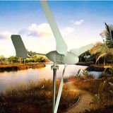 1kw Wind Power Generator (EW-1000W)