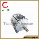 Ff-20kw/750rpm/DC240V Permanent Magnet Alternator (PMG/PMA/Hydro)