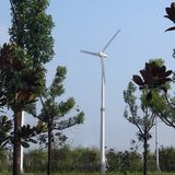 Wind Turbine Generator 20kw for Farm Generation