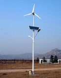 Wind Power Generator