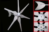 300W Wind Turbine for Lighting