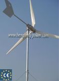 Wind Turbine 2kw with CE Certification for Family and Industry (HF-2000W)