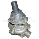 Cummins Engine Part Water Pump (4926553)