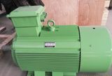 High Efficiency Permanent Magnet Generator 20kw 1800rpm 60Hz