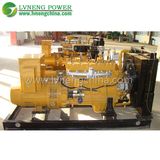 OEM Approved Biogas Power Generators